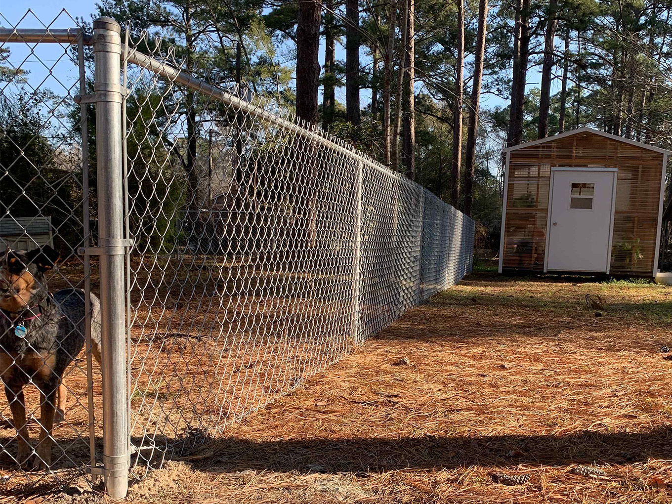 Hollywood Hills SC Chain Link Fences